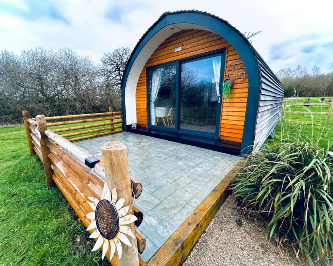 Beech Pod Cabin In Beautiful Surroundings Wrexham Exterior foto